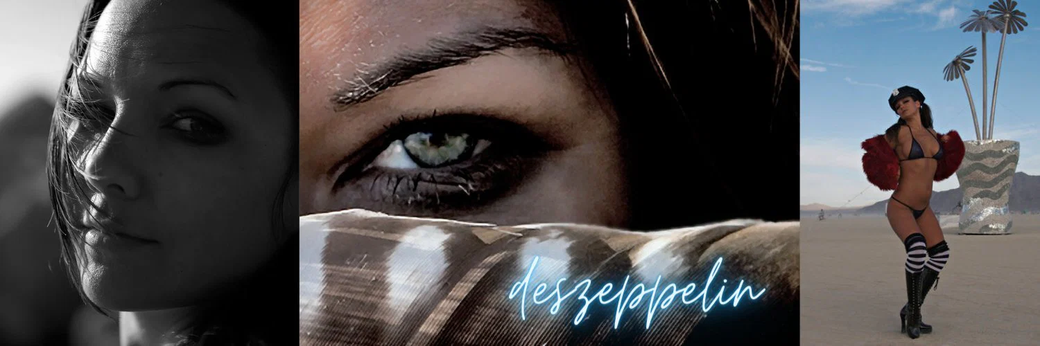 Des Zeppelin profile banner