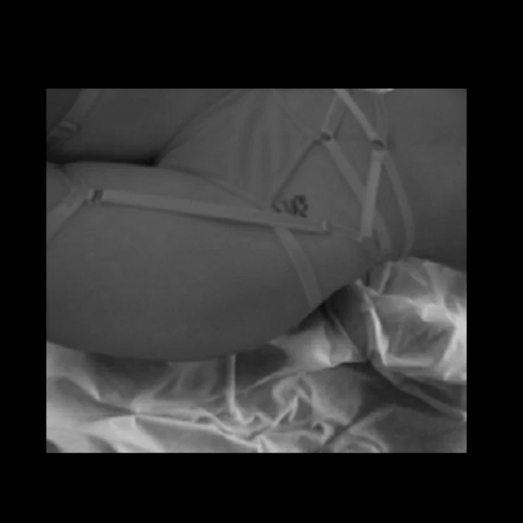 Nix profile banner