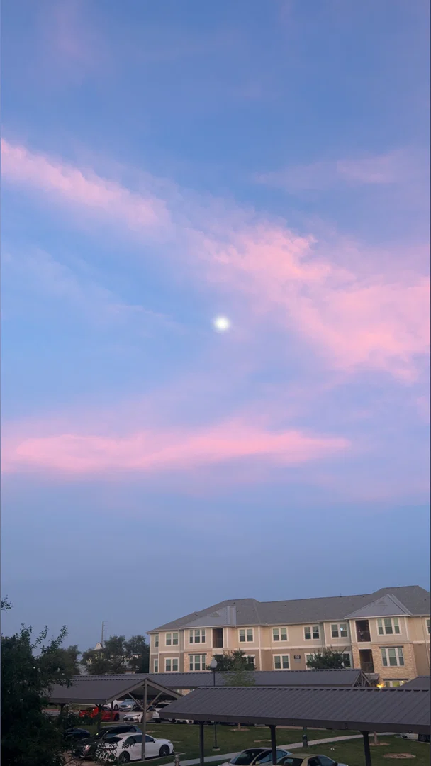 Bree profile banner