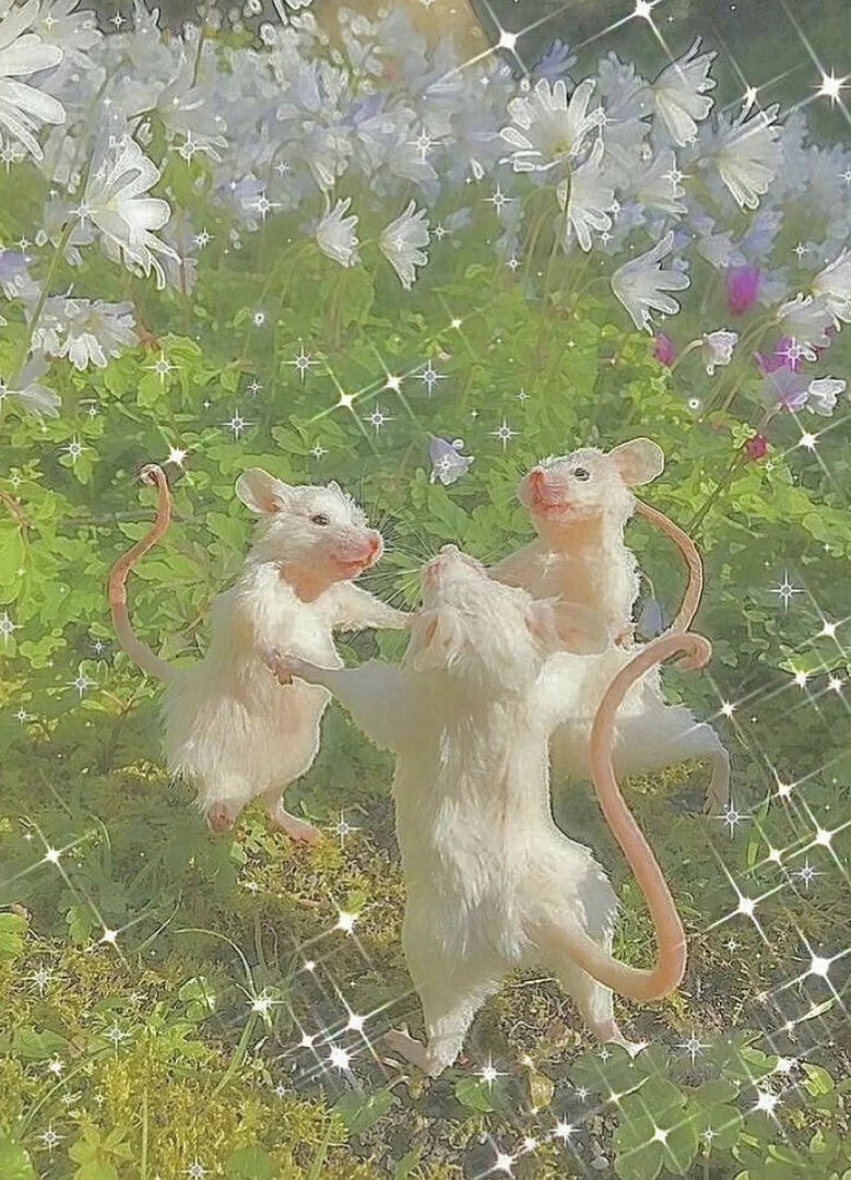Your Little Fetish Fairy profile banner