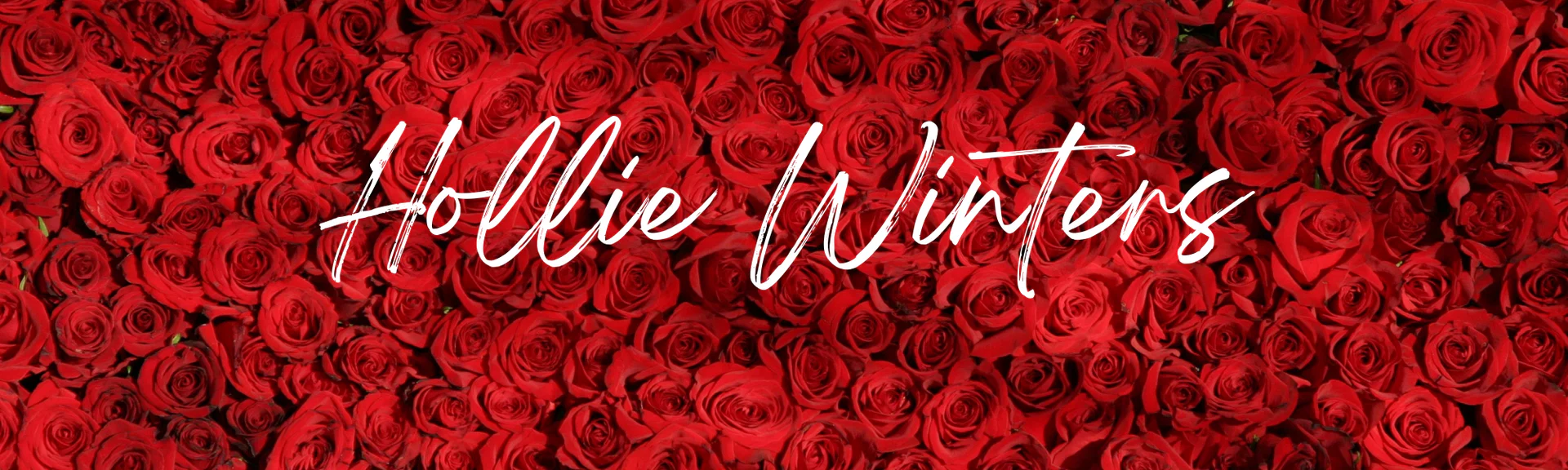 Hollie Winters profile banner