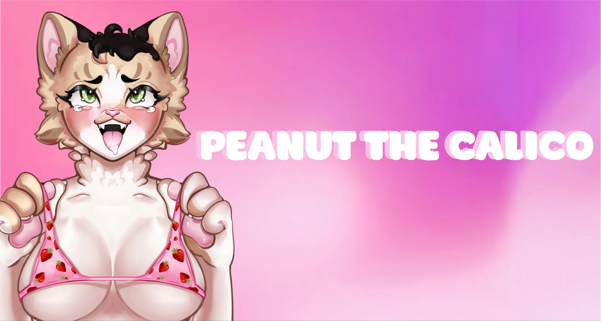 Peanut The Calico profile banner