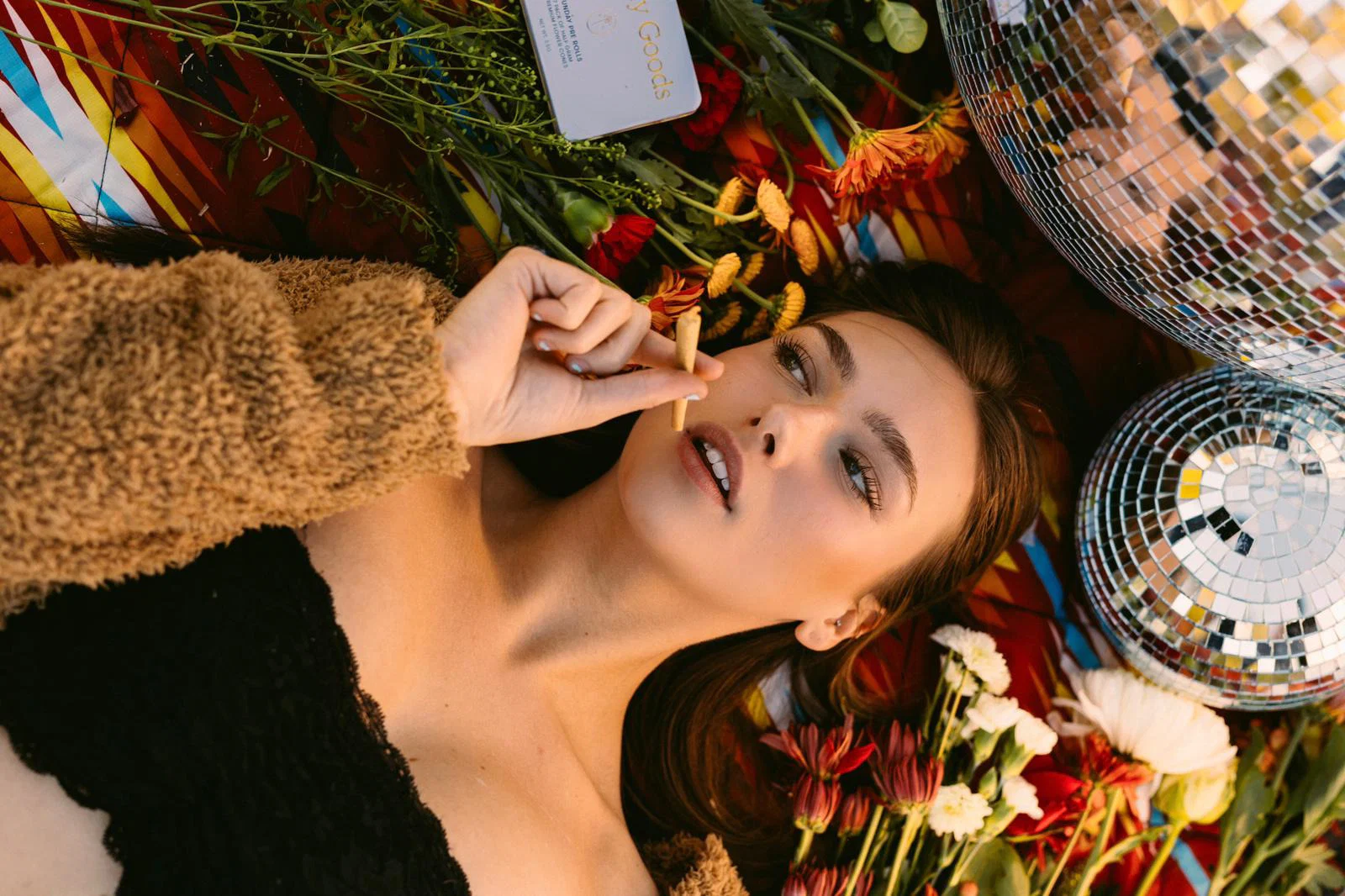 moll profile banner