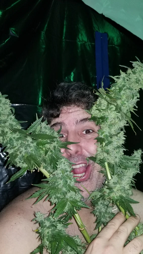 u13578685's avatar