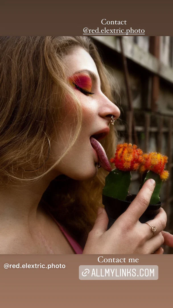 BellaDomme profile banner