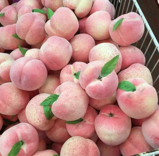 Blanco Peach profile banner
