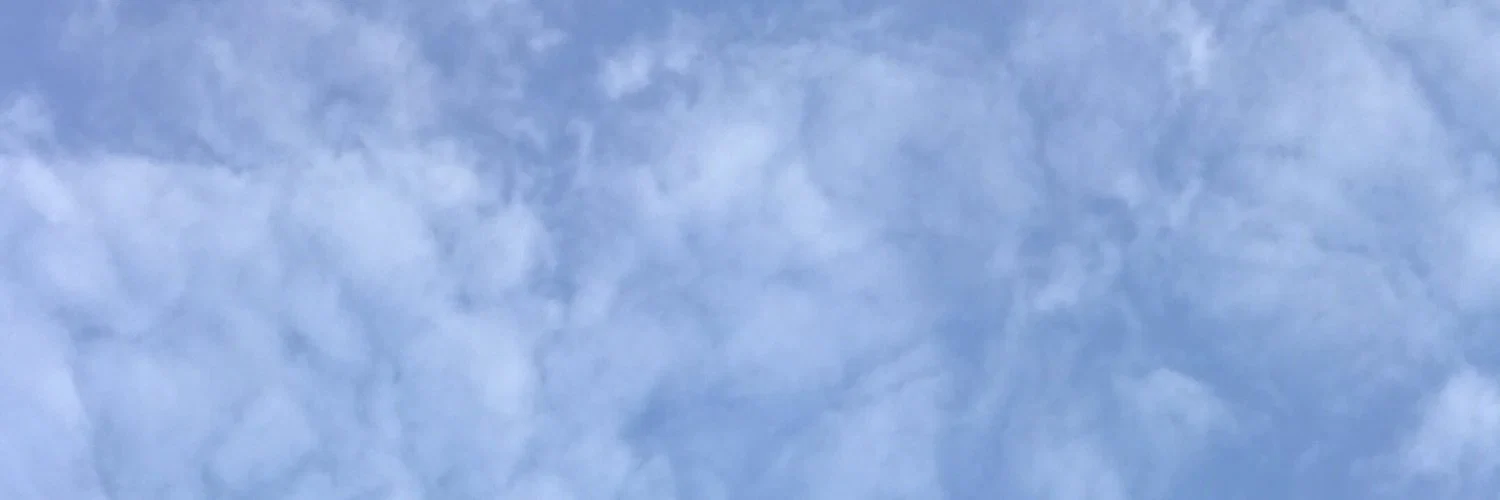 elephants profile banner