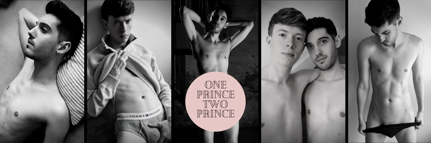 OnePrinceTwoPrince profile banner