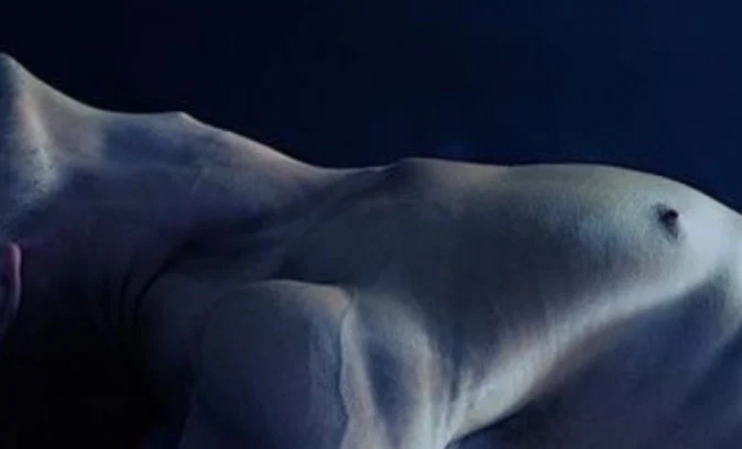 Ceylonese Papi profile banner