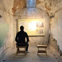 Rodrigo Toledo's avatar