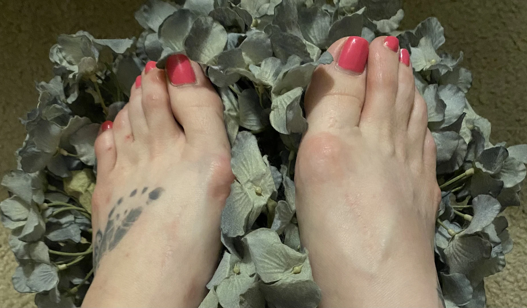 FreakySkeetFeet profile banner