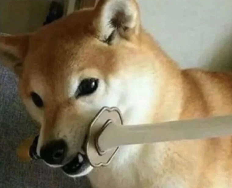 Diddy pup