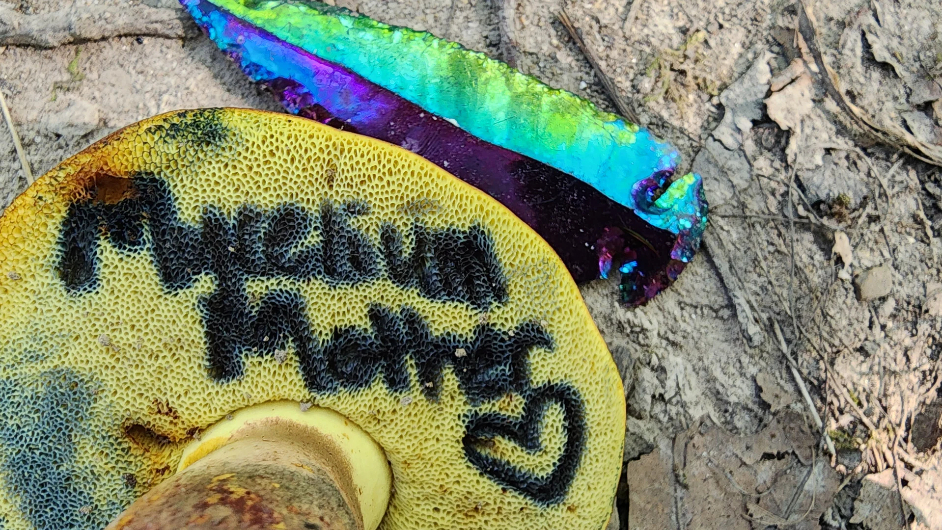Hot Petite Mushroom Mom profile banner