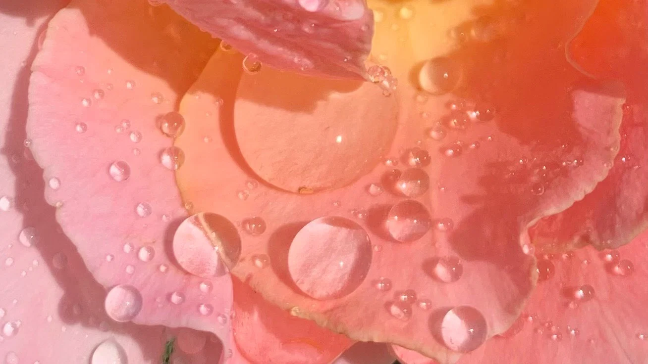 Essira O profile banner