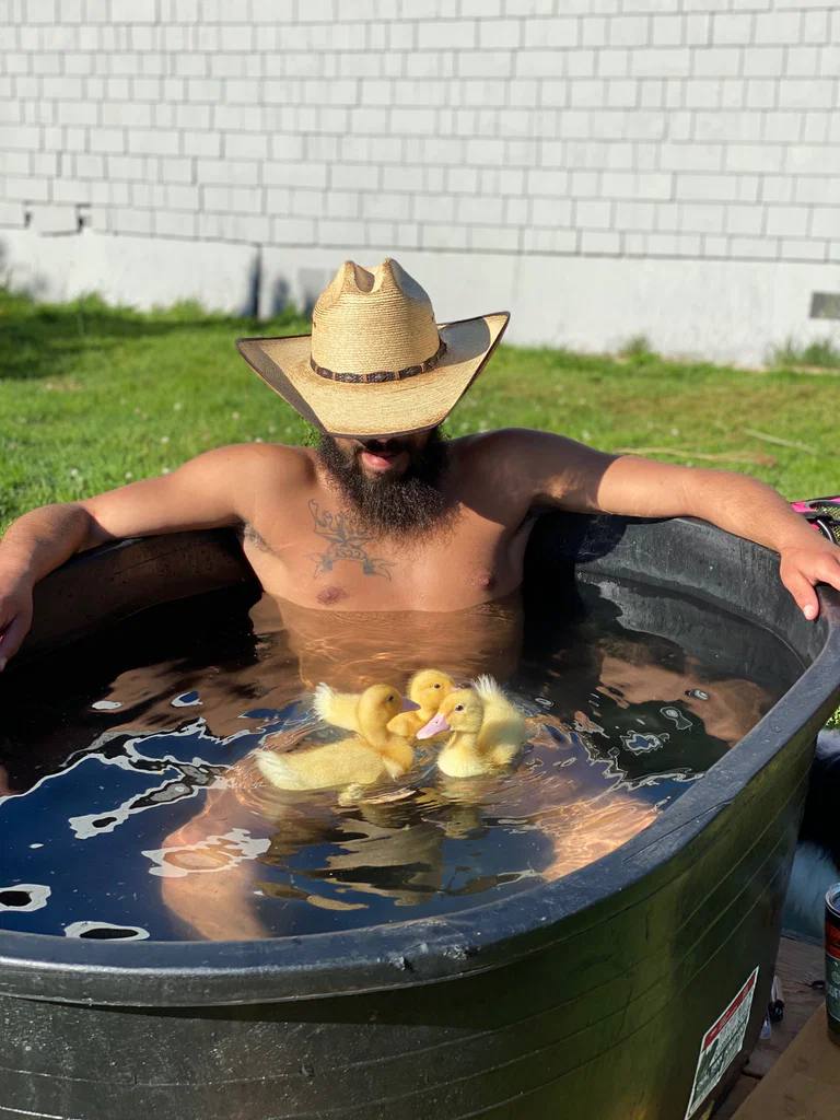 Your Mixed Neighbor's avatar