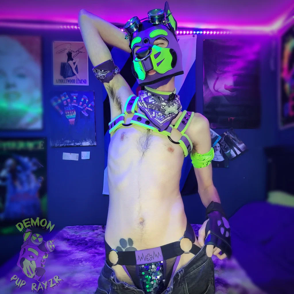 Pup Rayzr's avatar