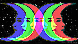 Lily π profile banner