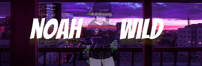Noah Wild profile banner