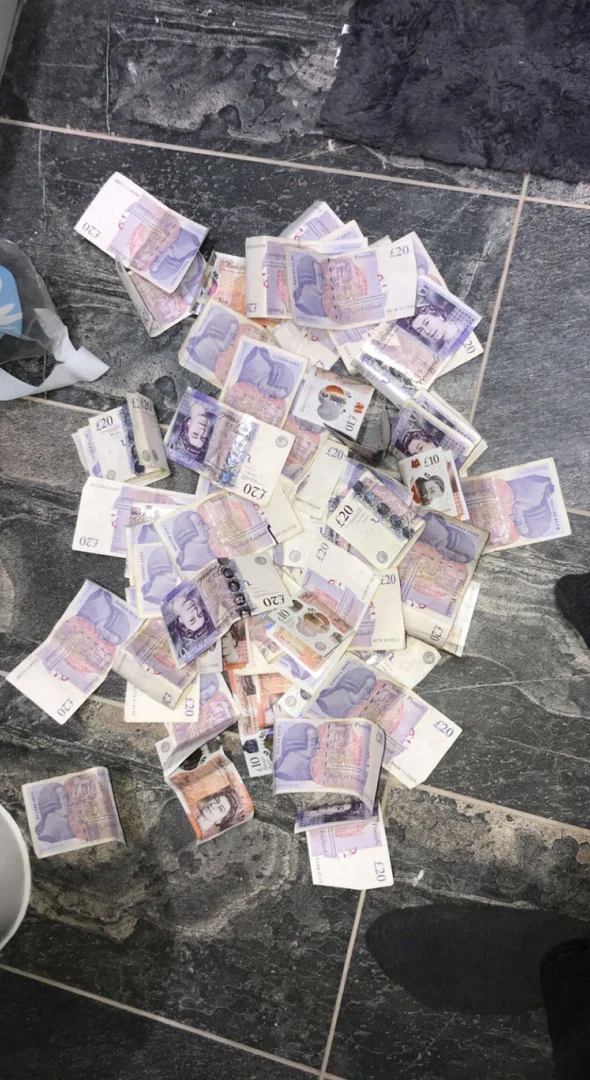 Miny kings profile banner