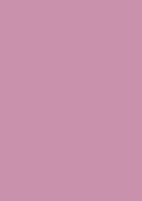 Princess profile banner