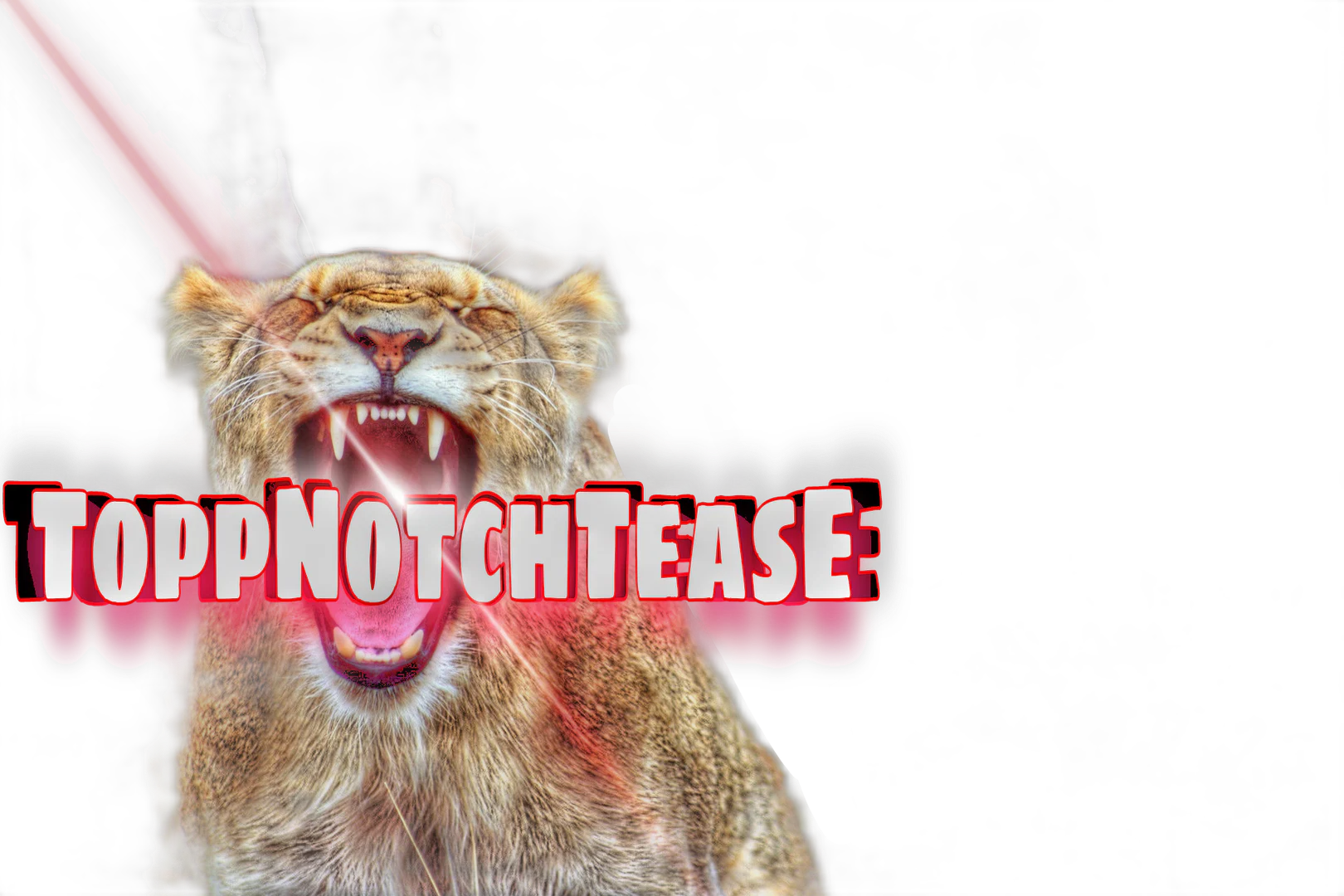 TNT 𧨠- Mistress T profile banner