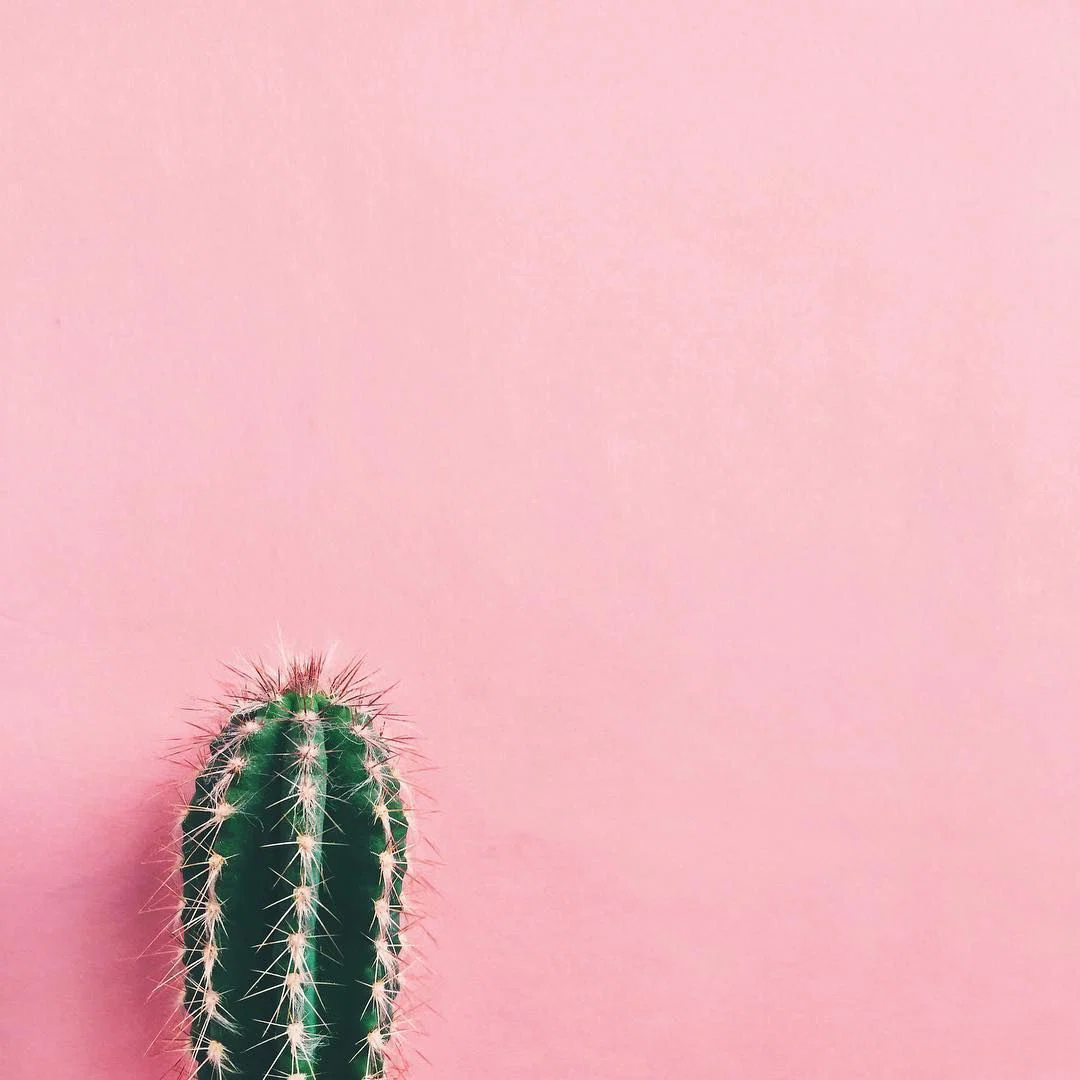 wifey profile banner