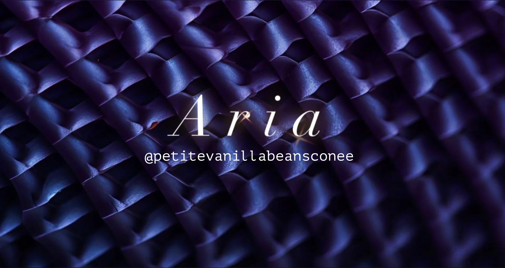 Aria 🖤 profile banner