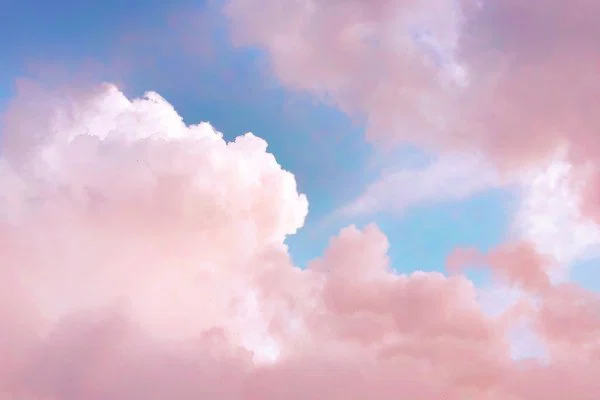 goddess Amy😈 profile banner