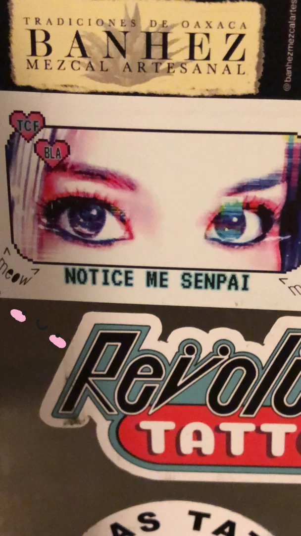 Reylene IRL profile banner