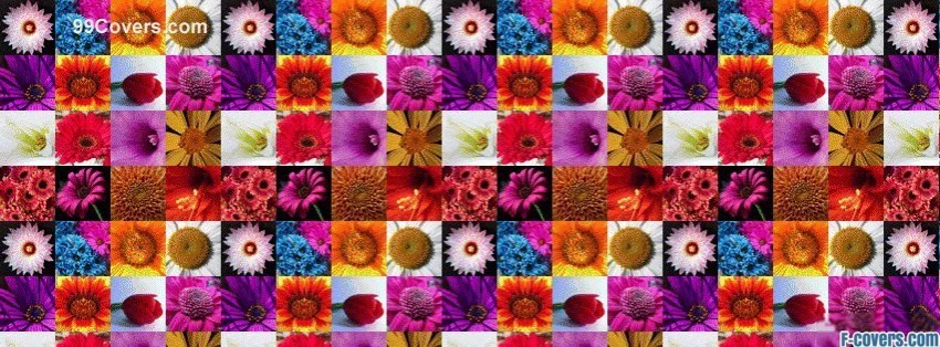 🌸ClintoGrebel🌺they/them/he/him profile banner
