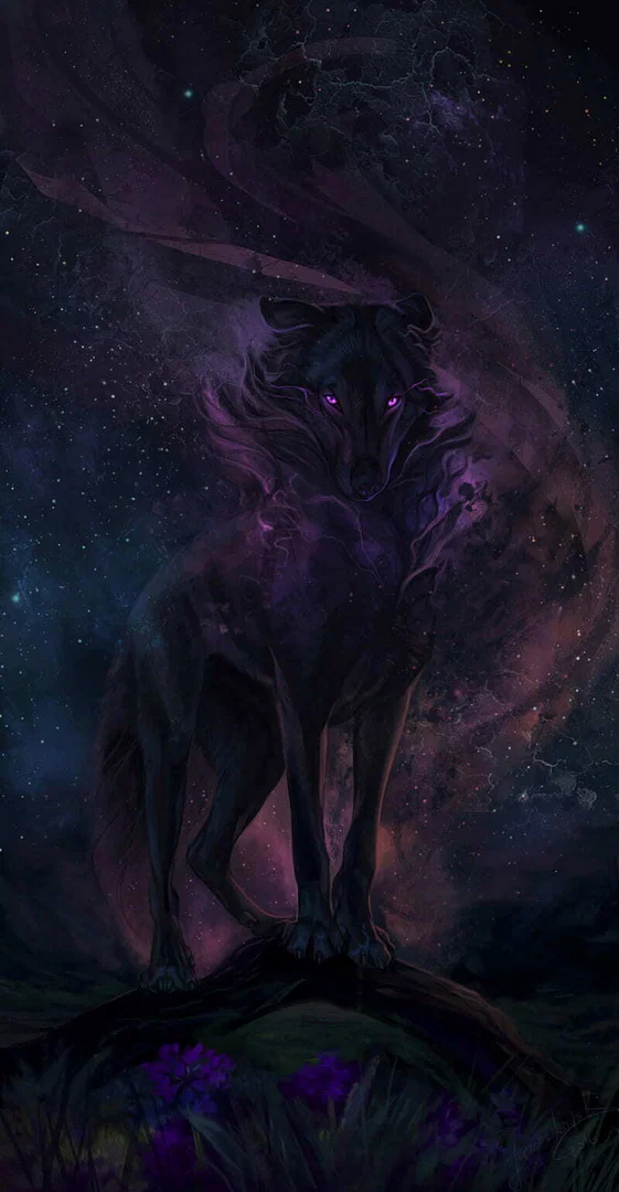 WolfCub297 profile banner