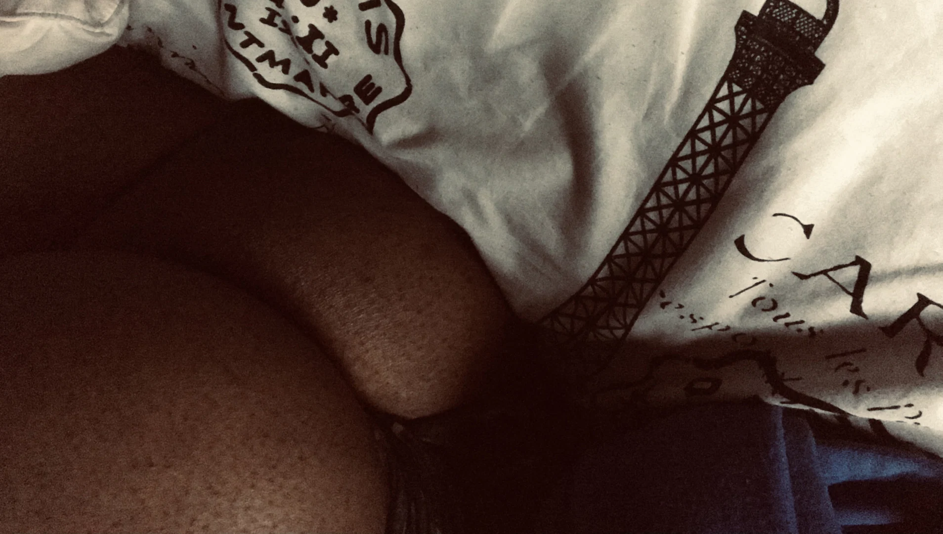 Zooted.Homo profile banner