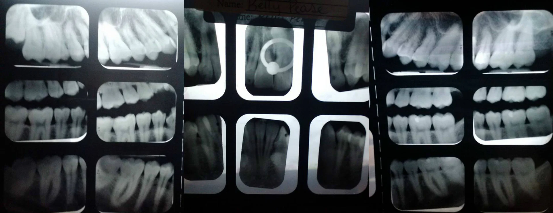 Human Lamprey profile banner