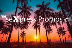 ™️seXpress_PROMO profile banner
