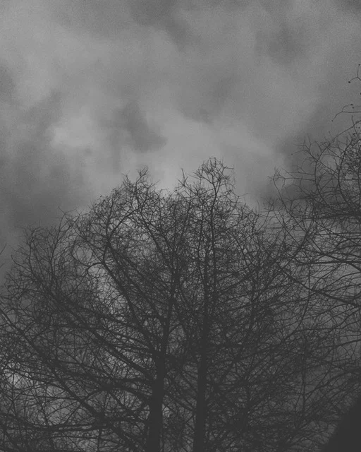 Eaten By Insects profile banner