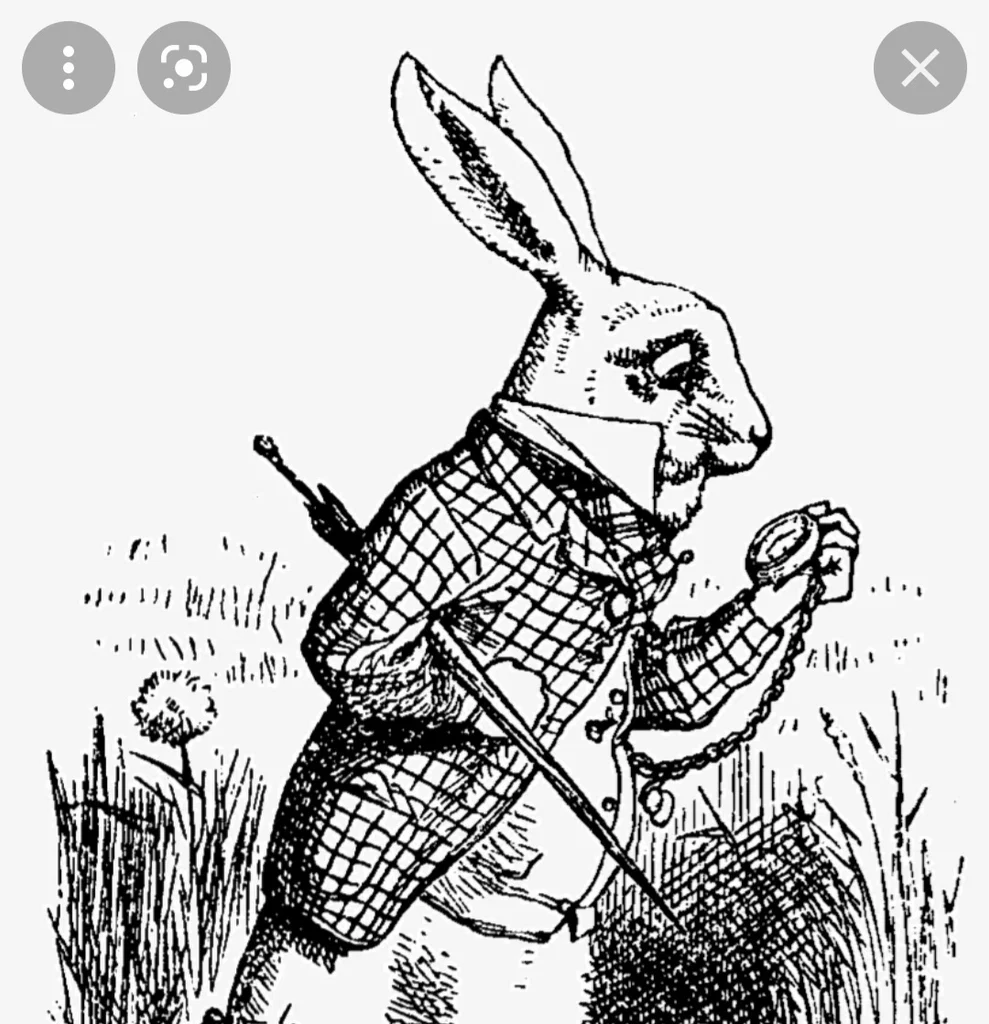 Bunny