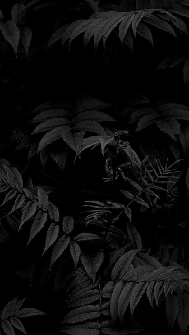 Miley💕 profile banner