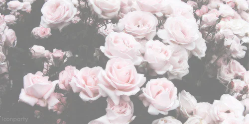 Baby Buns profile banner