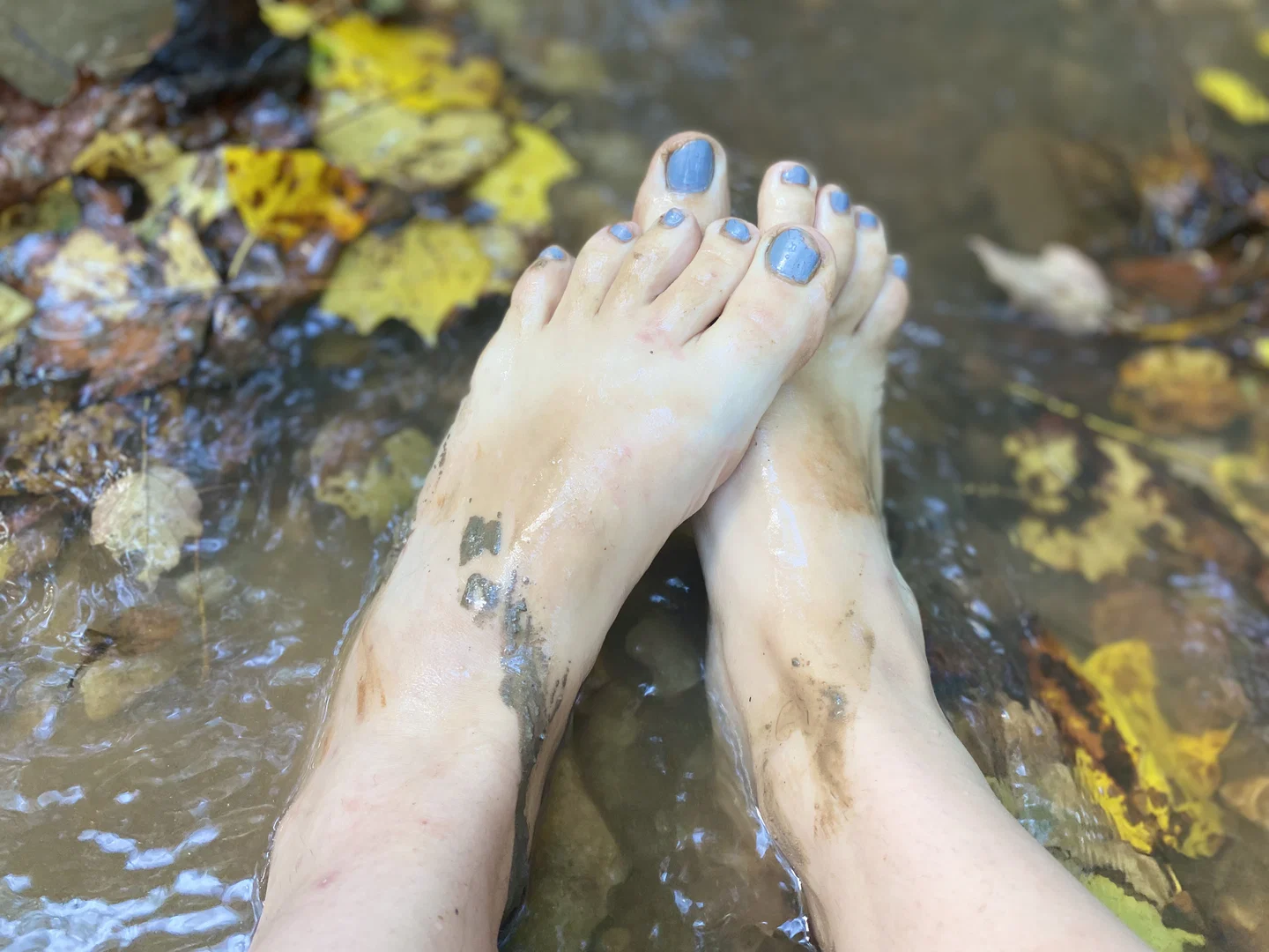 Hippie Feet profile banner