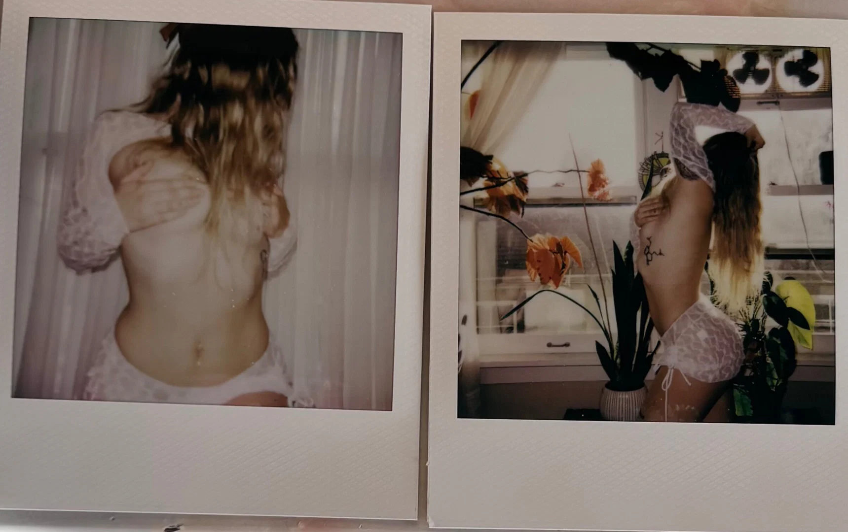 Danni🍒 profile banner