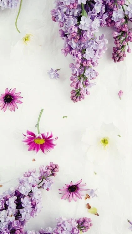 Botanicalbaby profile banner