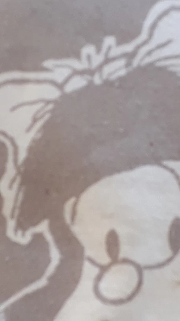 Soledad Flores profile banner