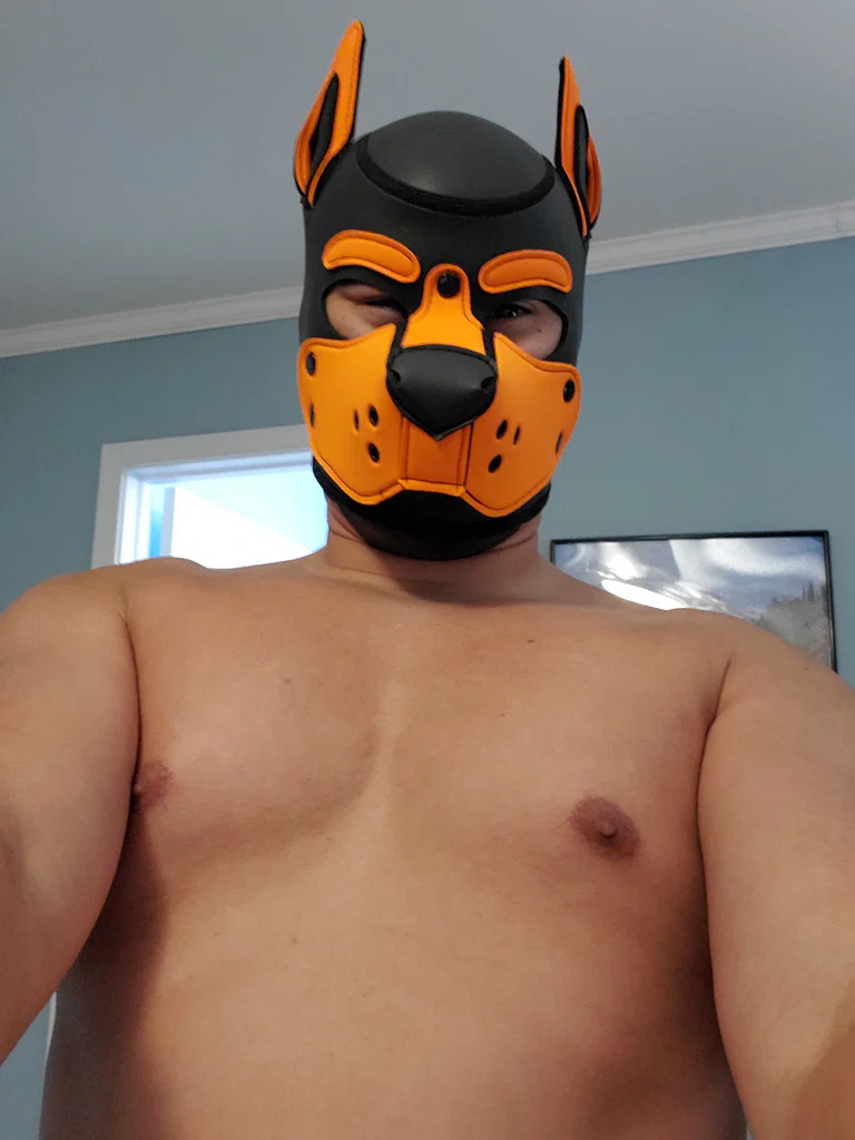Pup Jaws's avatar