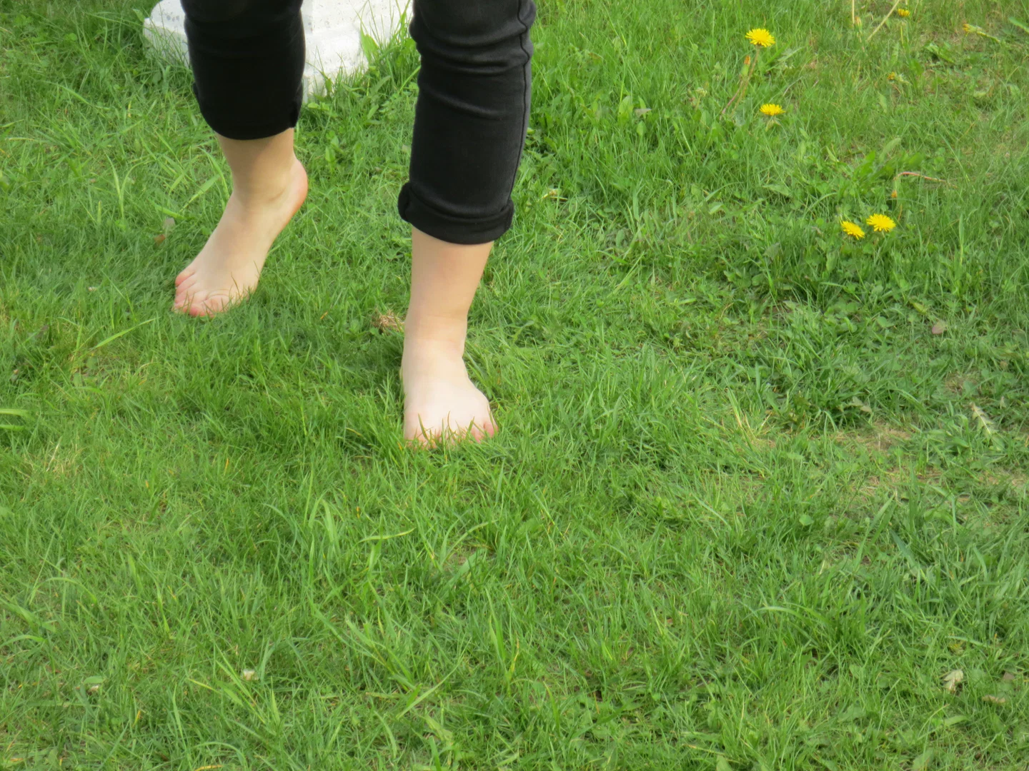 Teeny-Tiny Feet profile banner