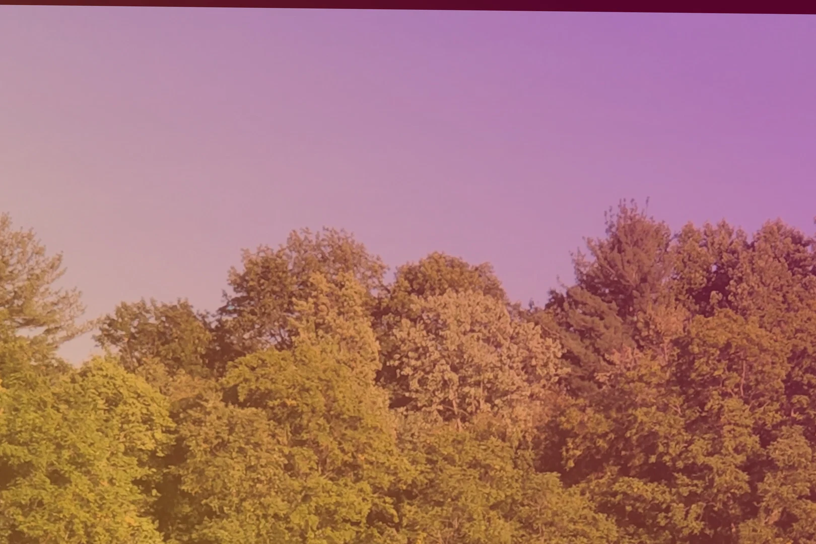 fall_lover69 profile banner