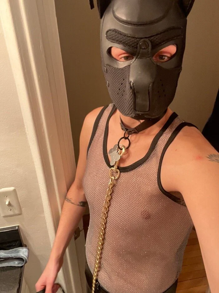Pup Maverick's avatar