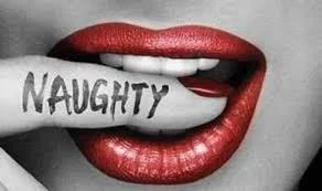 NaughtyHolly profile banner