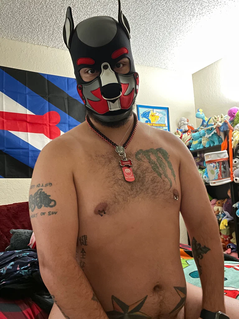 Pup Danté's avatar