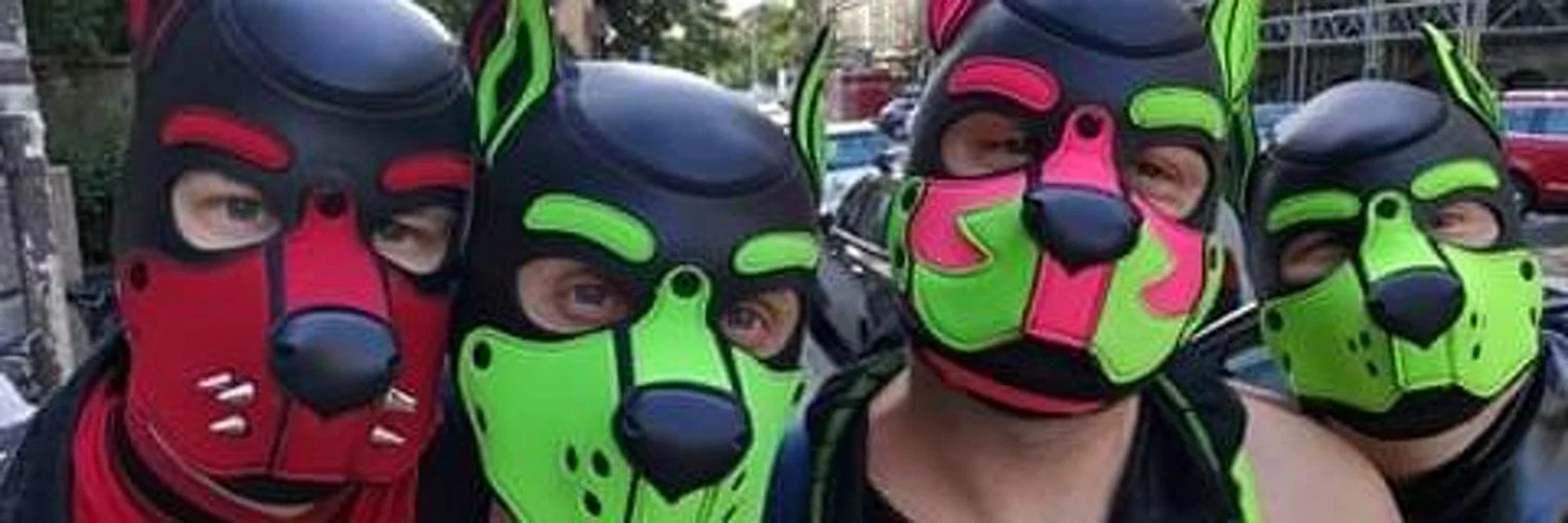 PupFeng profile banner