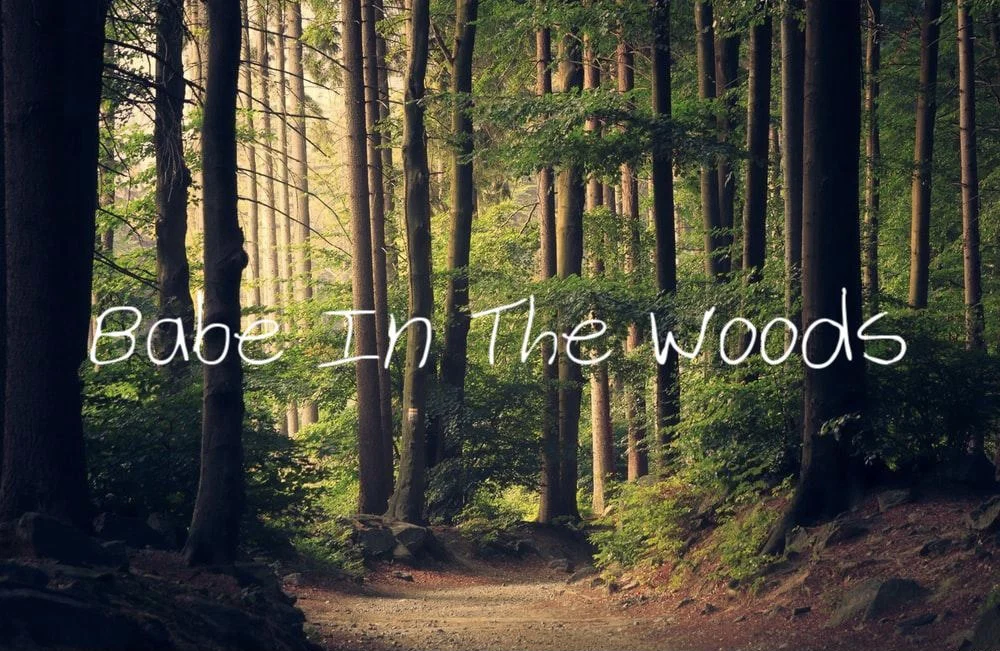 Babe In The Woods profile banner